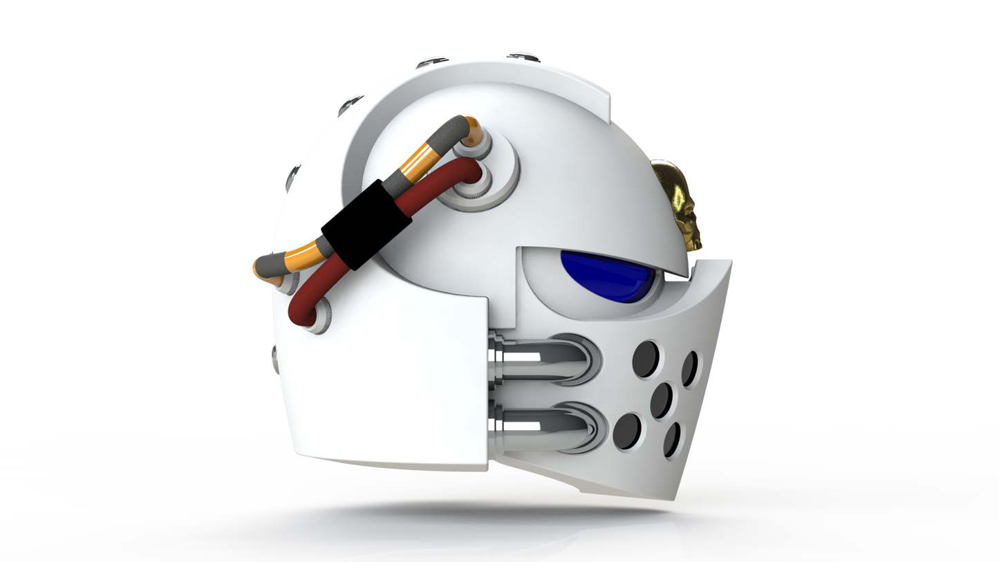 Silver Squires Warden - Helmet (3D Print | Files Only)
