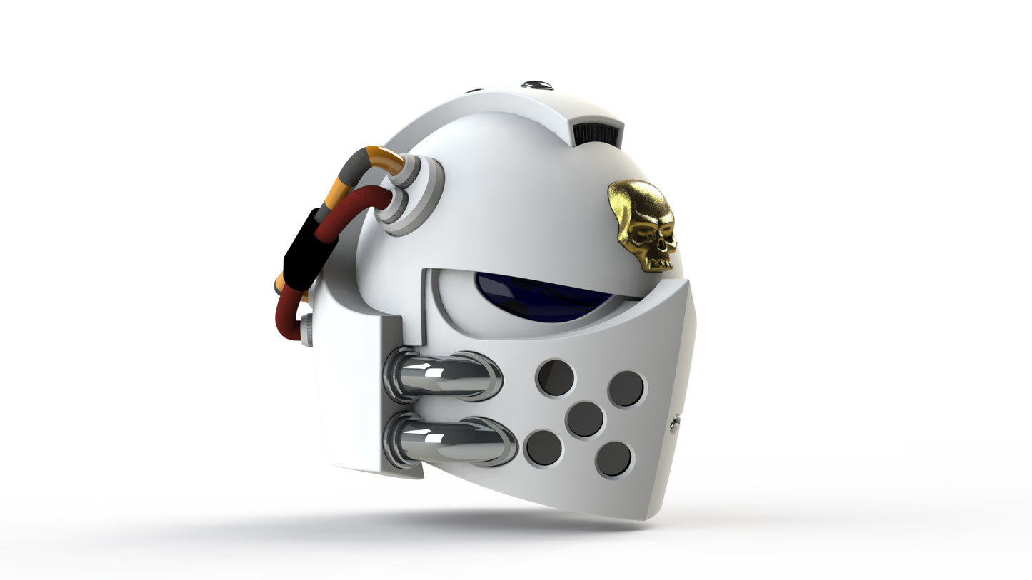 Silver Squires Warden - Helmet (3D Print | Files Only)