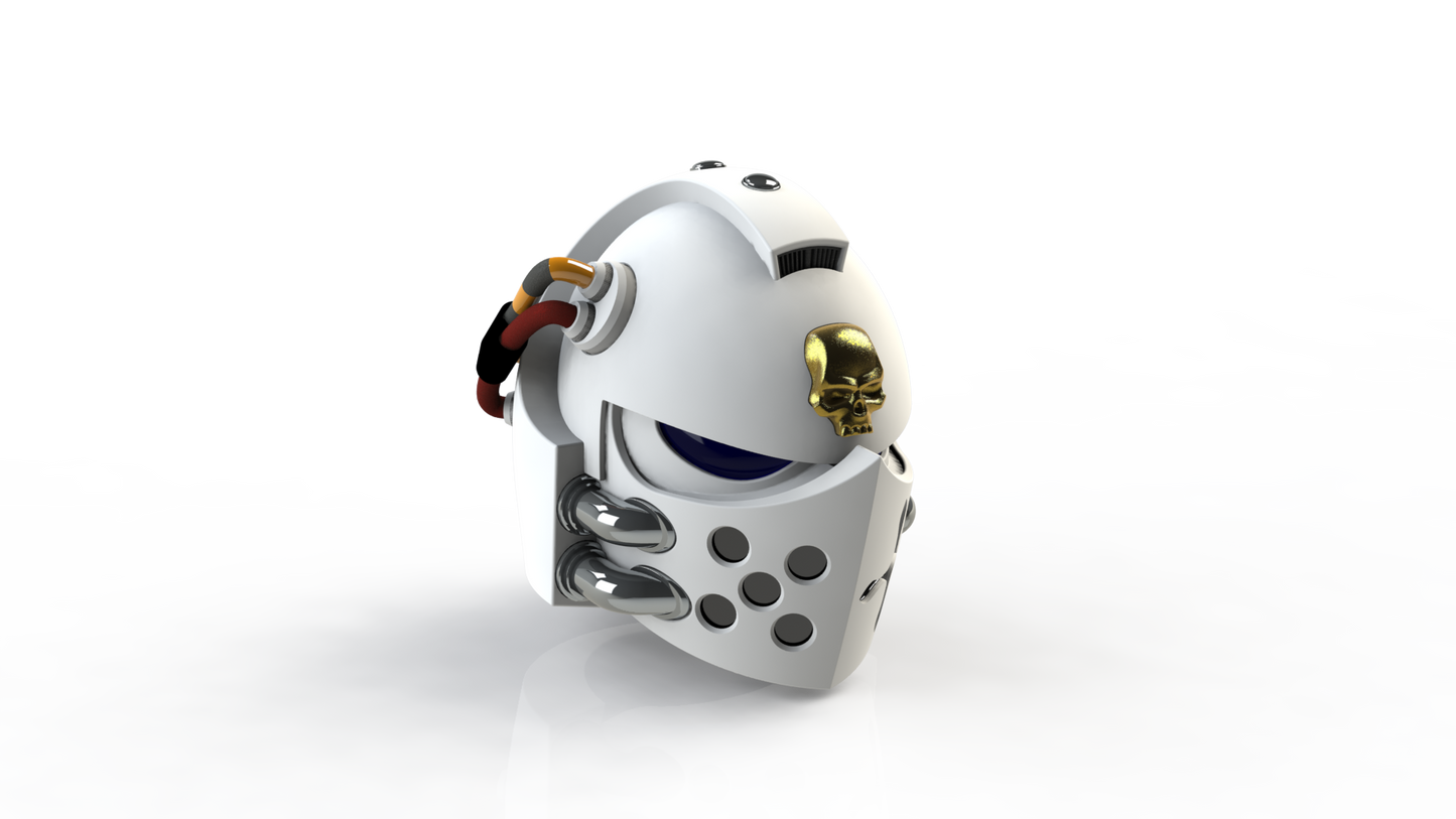 Silver Squires Warden - Helmet (3D Print | Files Only)